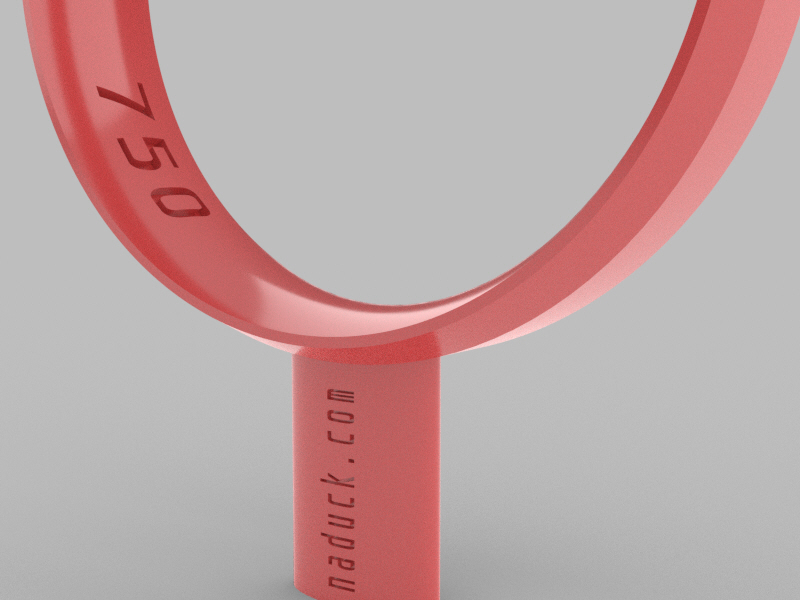 Beveled Ring – 4×1.2mm Rectangular with 45° Corner – 17mm Ring – Anatomical - Image 3
